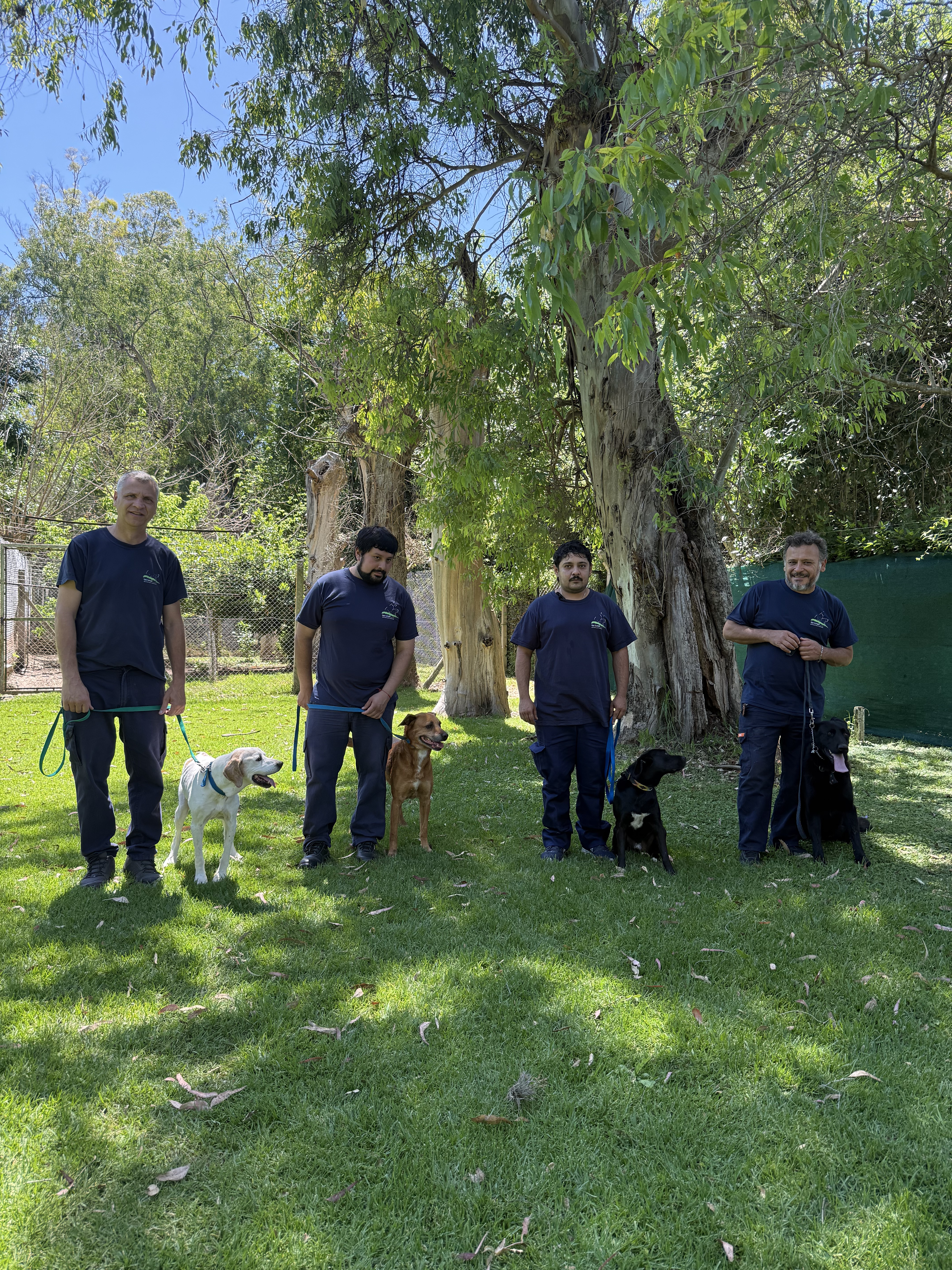 Mascotas en Las Lunas