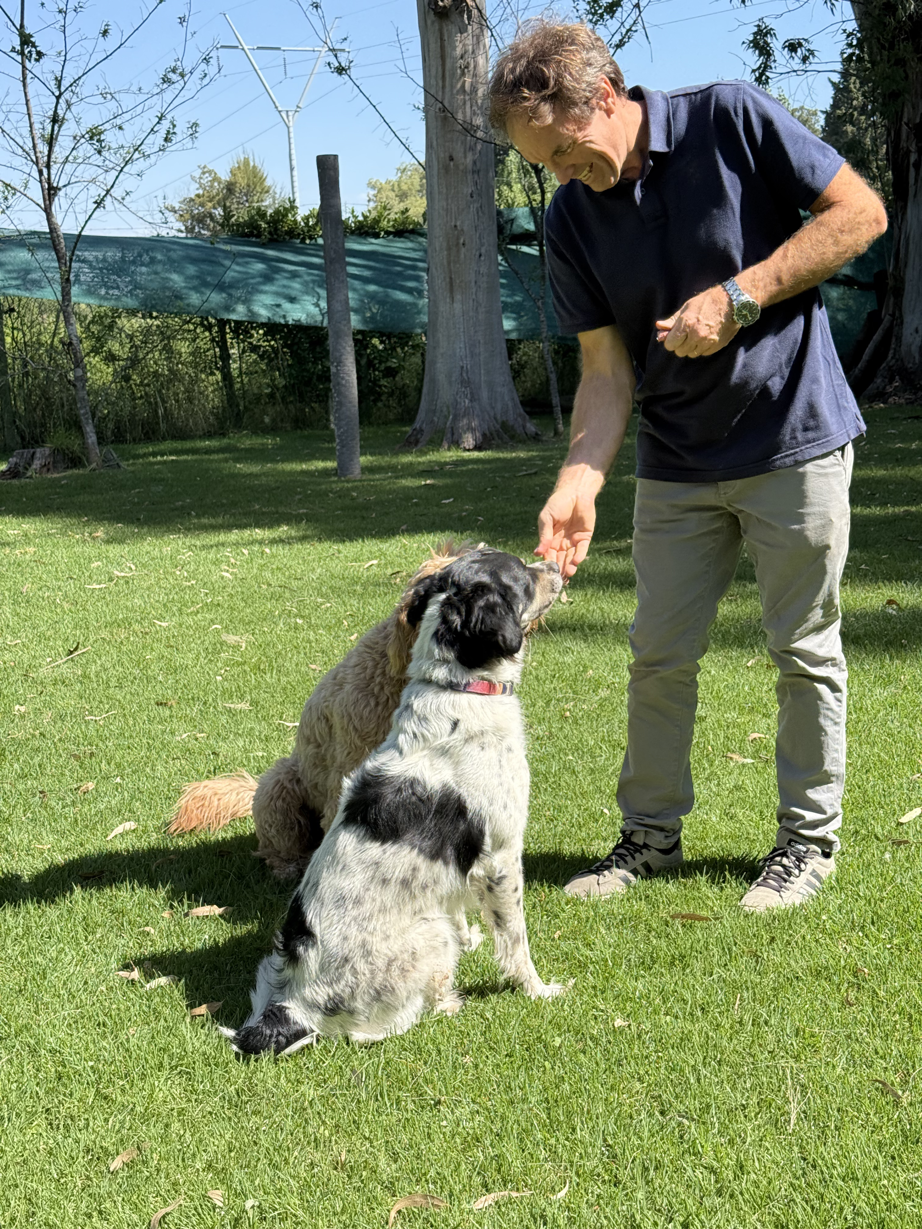 Mascotas en Las Lunas