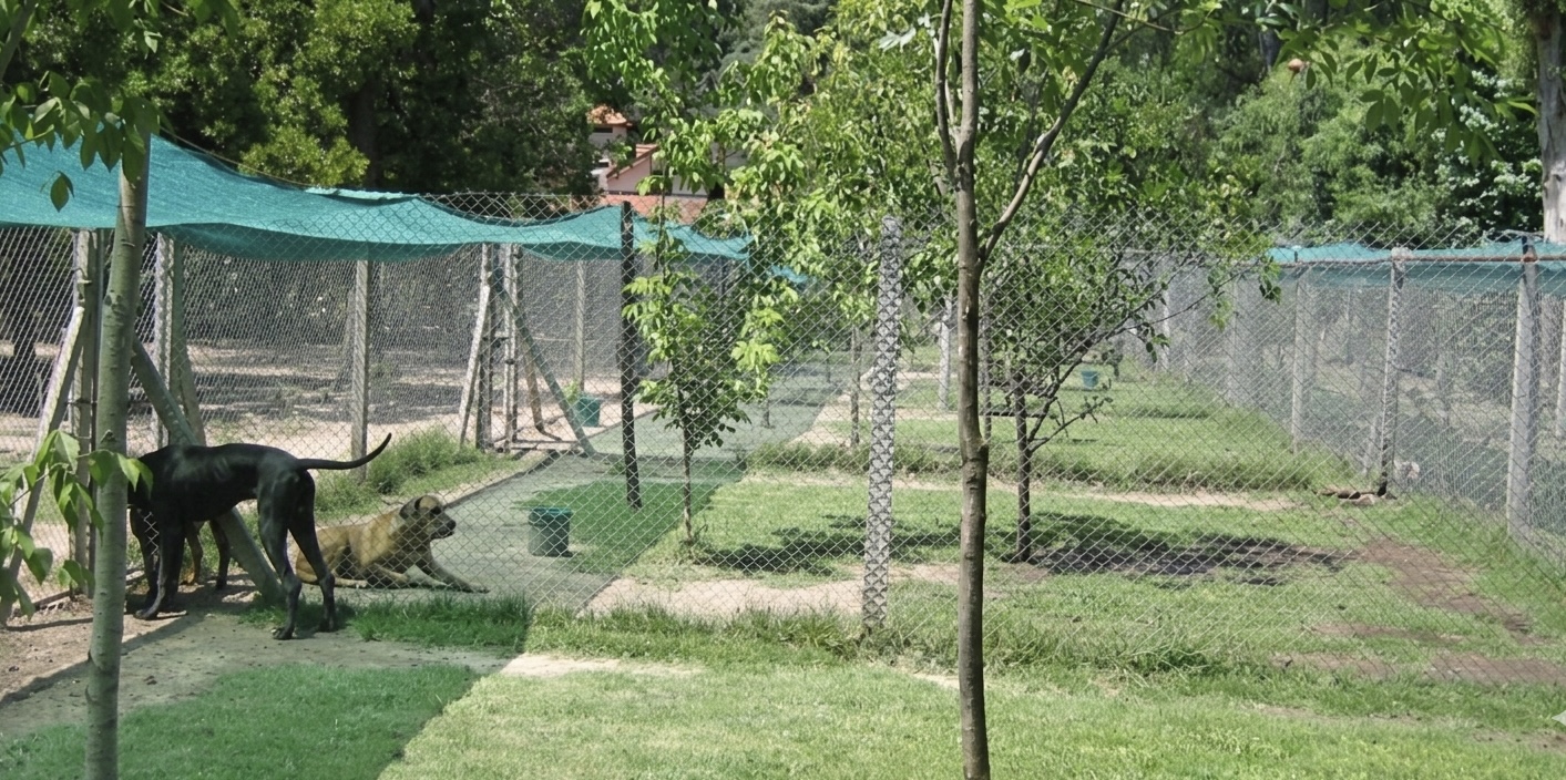 Las Lunas - foto de las instalaciones 7