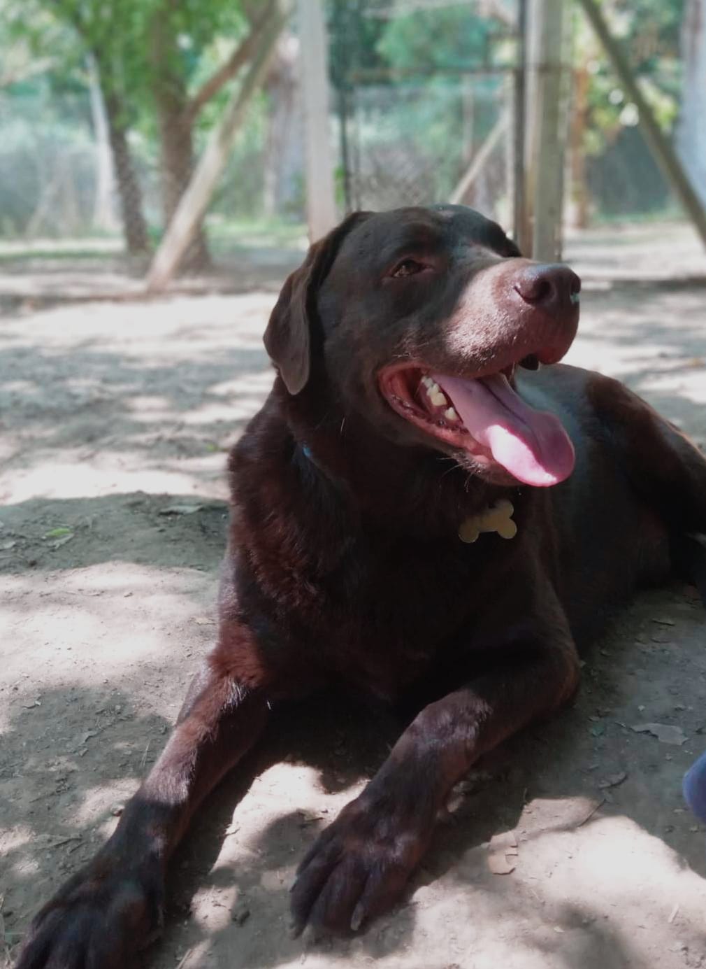 Foto de la mascota de Ana Keinan