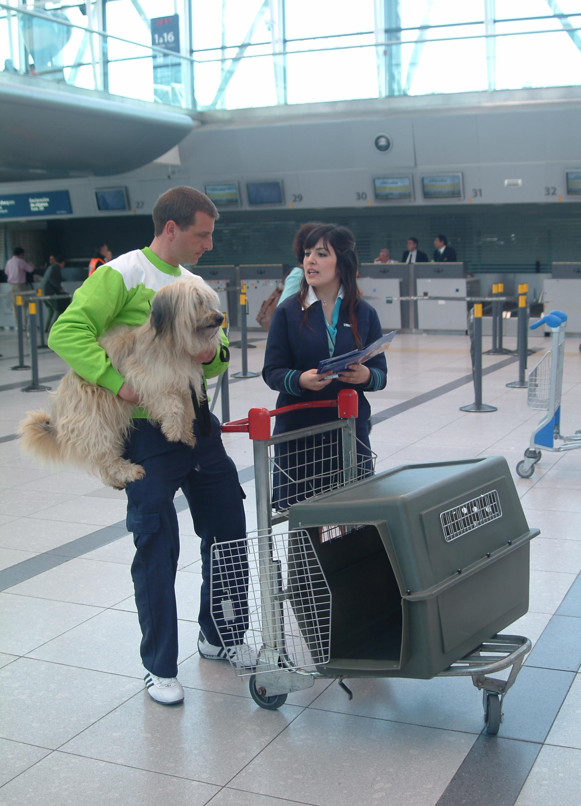 Viaje con mascotas